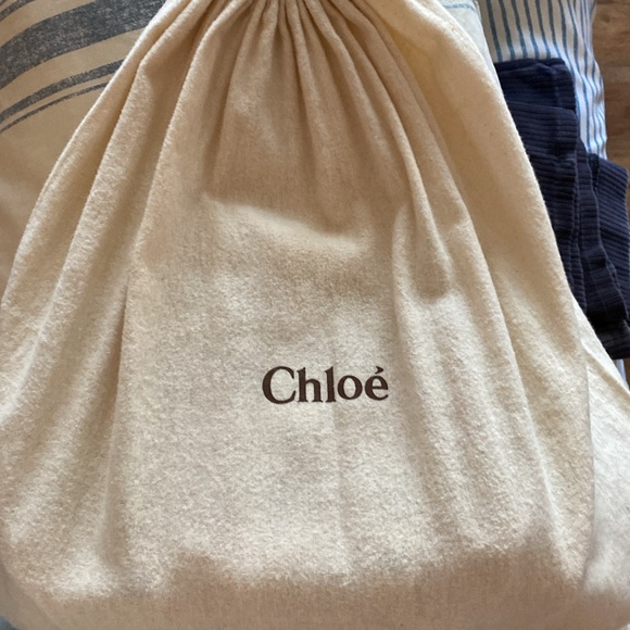 Chloe Python Silverado Bag - Picture 4 of 12